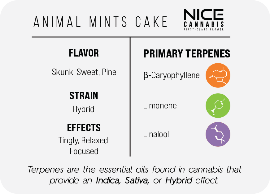 3.5g Indoor THCA Flower - Hybrid - Animal Mintz Cake