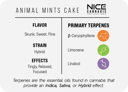 3.5g Indoor THCA Flower - Hybrid - Animal Mintz Cake