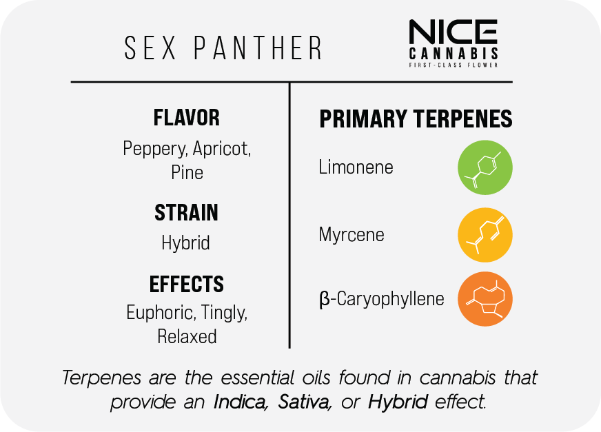 3.5g Indoor THCA Flower - Hyrbid - Sex Panther