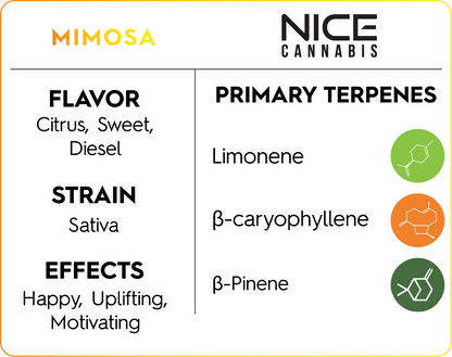 4g Mimosa